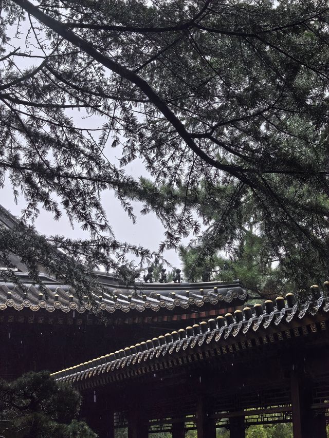 雨中環翠樓絕美意境 雨中環翠樓絕美意境