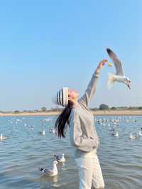 居延海最美日出打卡