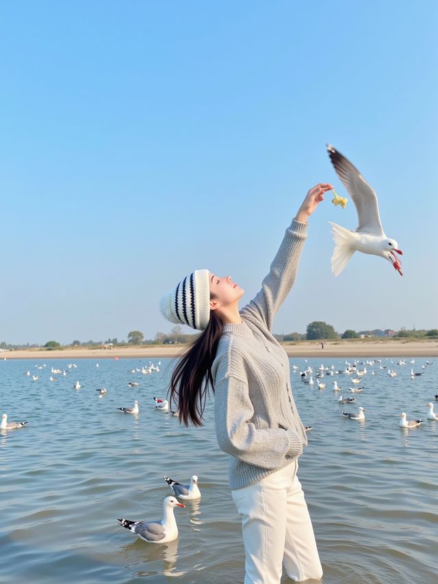 居延海最美日出打卡
