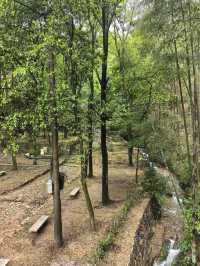 衢州仙霞關|青石古道印滄桑 蒼松迎客越千年