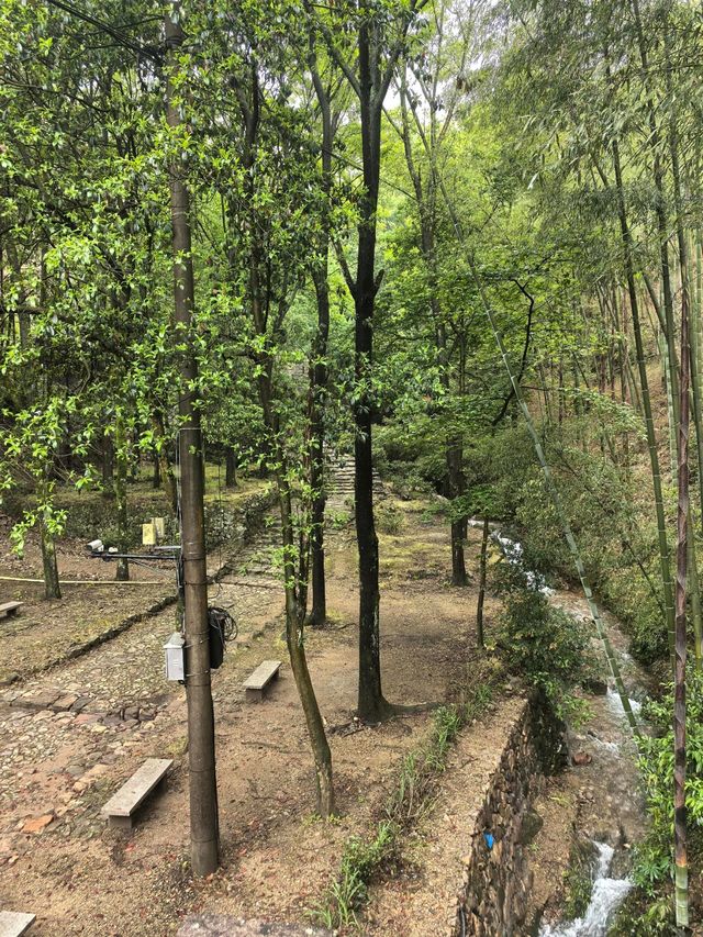衢州仙霞關|青石古道印滄桑 蒼松迎客越千年 衢州仙霞關|青石古道印滄桑 蒼松迎客越千年