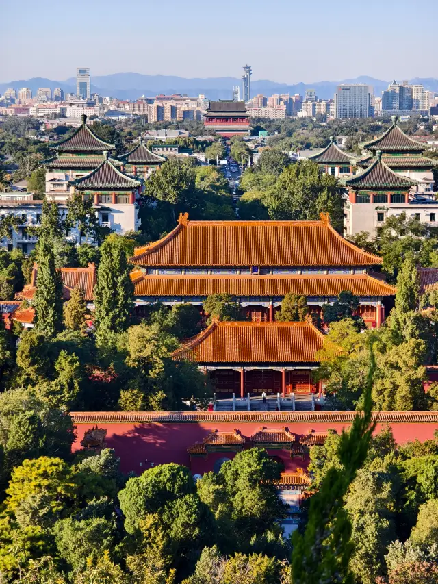 Climbing high in the city center, overlooking the imperial capital's grandeur.