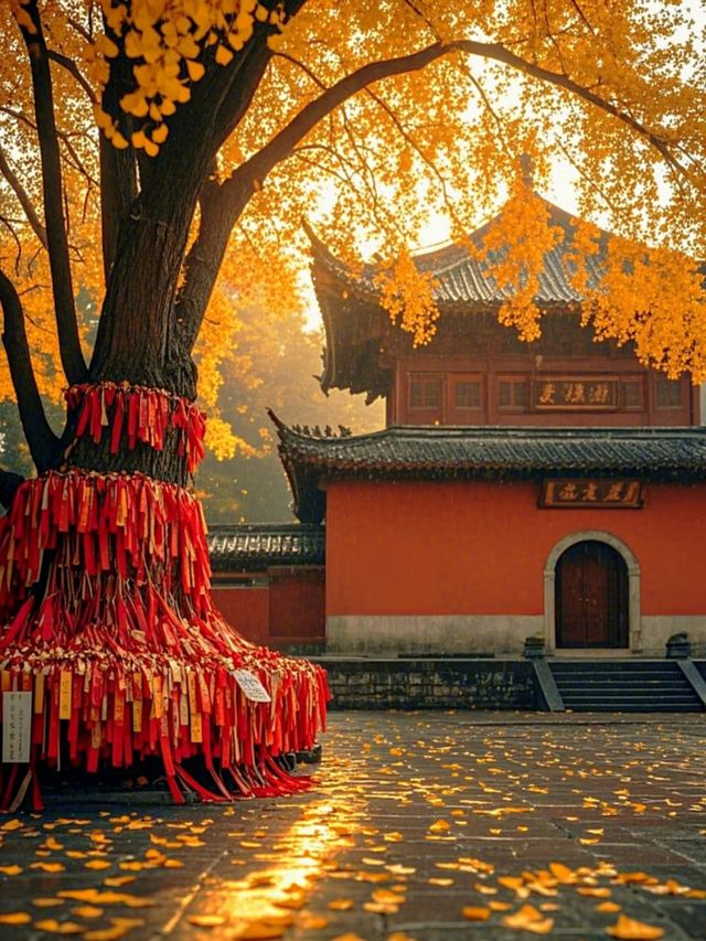 慈恩寺森林公園，康平兩天一宿旅遊一用攻略