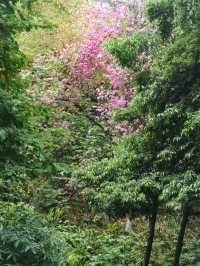重慶寶藏公園 | 寶聖湖公園
