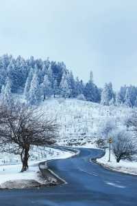 重慶下雪了！衝！仙女山2日遊保姆級攻略！
