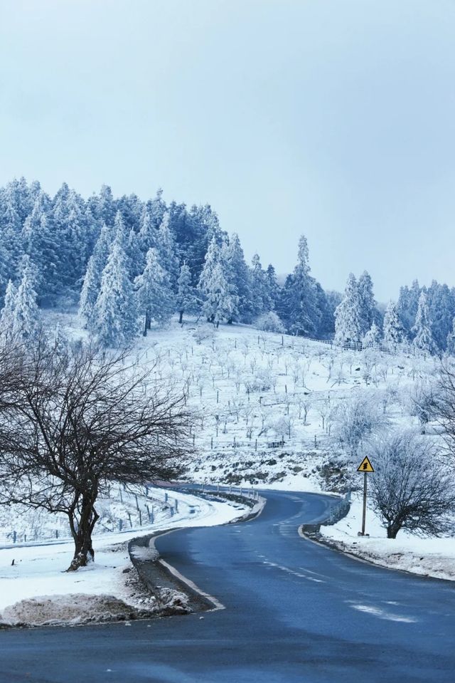 重慶下雪了！衝！仙女山2日遊保姆級攻略！