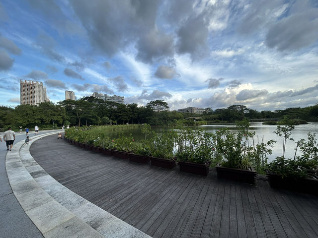 🌿 福田紅樹林生態公園｜城市裡的自然保護園區！