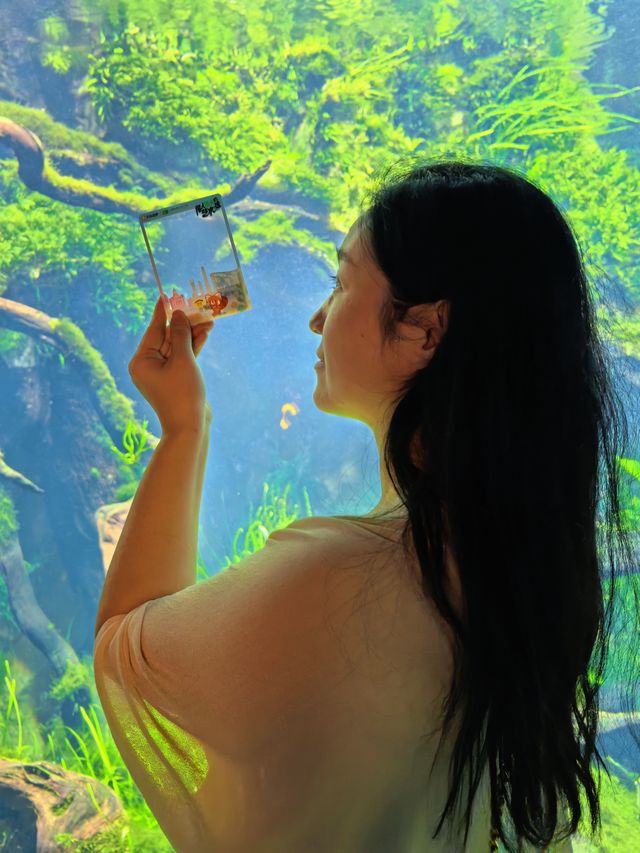 鏡頭裡的藝術感！帶透卡在森系博物館日行兩萬步