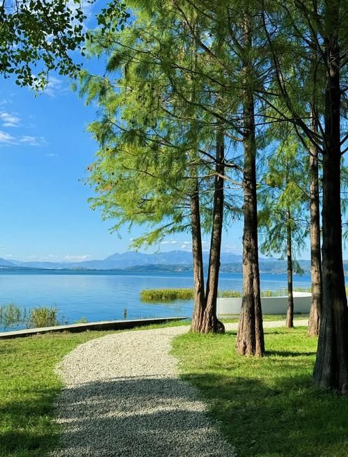 伴喜 Terrace：洱海之畔的森氧棲居
