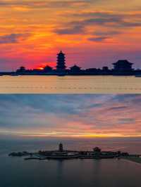 仙境海岸賞鷗寶地