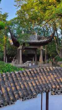 蘇州滄浪亭：藏在千年文脈裡的園林秘境