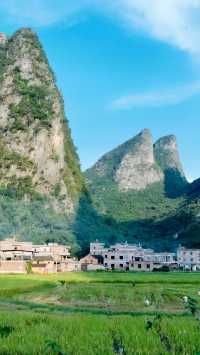 賀州百里水墨畫廊｜峰林村落炊煙稻田牛群