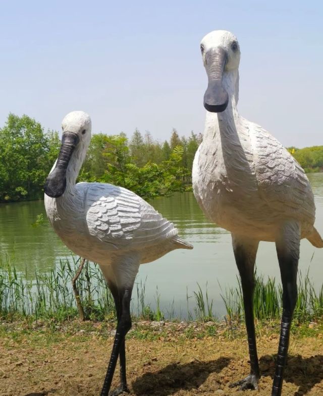 蘇州太湖濕地公園遛娃指南人少景美還出片! 蘇州太湖濕地公園遛娃指南人少景美還出片!