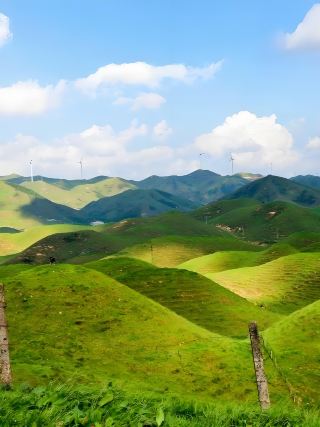ชาวใต้ไม่ต้องไปถึงมองโกเลียใน! ความลับของทุ่งหญ้าอัลไพน์อันซ่อนเร้นของหูหนาน มอบประสบการณ์พักผ่อนช่วงฤดูร้อนที่อุณหภูมิ 19°C
