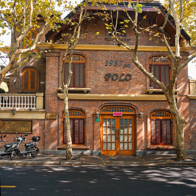 🍂상하이의 가을, 이 도시를 사랑하는 이유