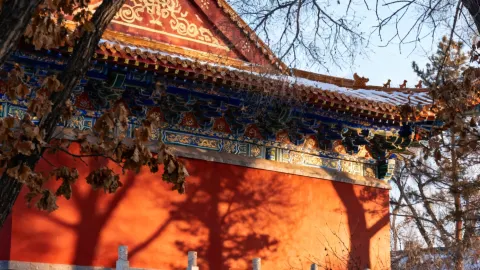 November Durbert Ultimate Guide! Ice and Snow Grasslands + Hot Springs Blast — traveler post in Daqing