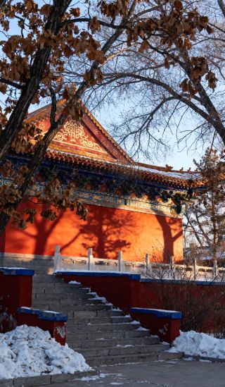 11月杜爾伯特封神攻略！冰雪草原+溫泉暴擊