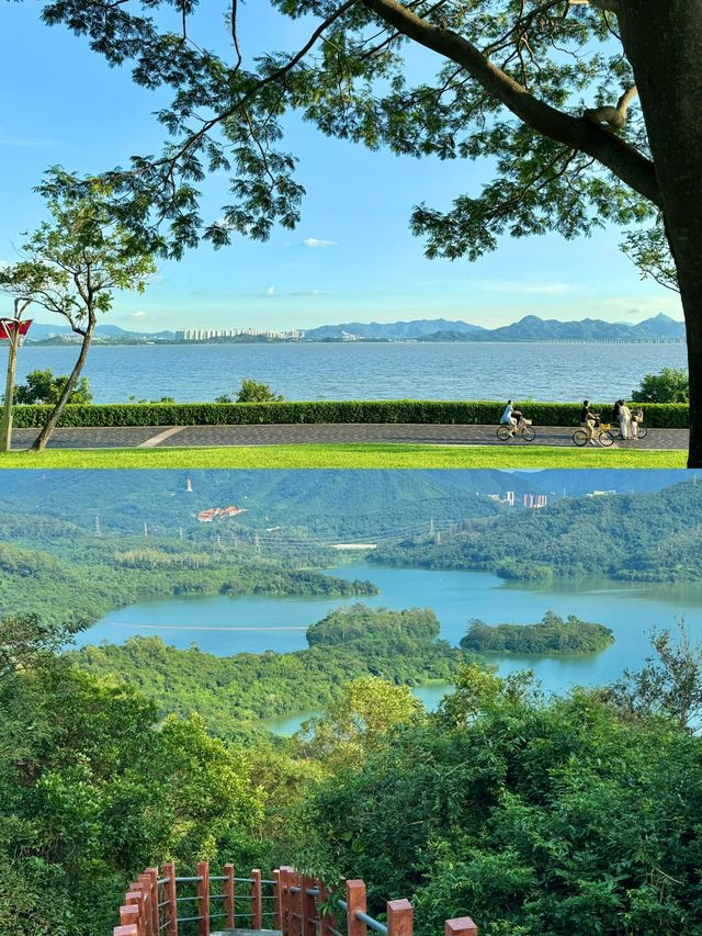 深圳0元寶藏玩法｜免費打卡山海、公園與文藝角落，拍照出片不重