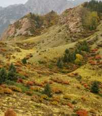 秋天甘南等地美到失語的神仙地方