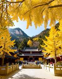 乳源雲門山旅遊區|禪意山水與高空冒險的雙重治癒