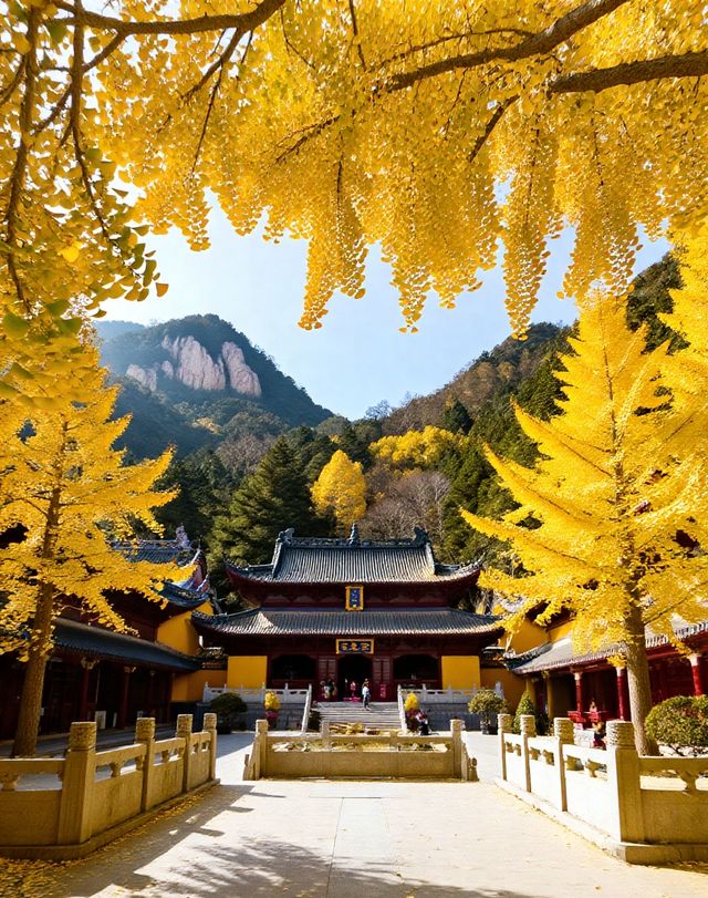 乳源雲門山旅遊區|禪意山水與高空冒險的雙重治癒