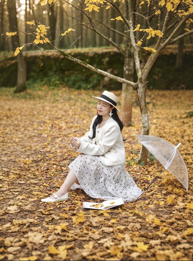 尖叫！韶關帽子峰金色童話世界已上線！！