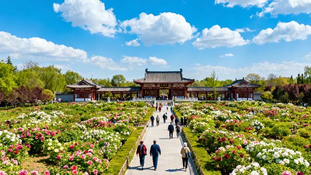 古台聽戲·園林雅韻​. 竹徑通幽·清暑閒亭