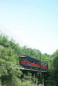 六甲山：神戶之巔的自然、音樂與夜景