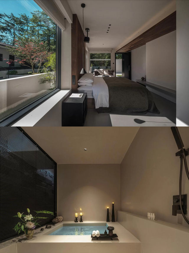 25℃的夏天！四明山雲自泊民宿藏進森林氧吧！