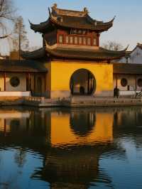 泰州親子遛娃｜免費景點打卡攻略12.31前衝