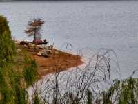 郴州東江湖白廊景區的美景