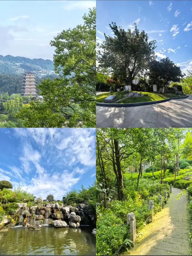 Rừng trúc Nhâm Hoài Nam