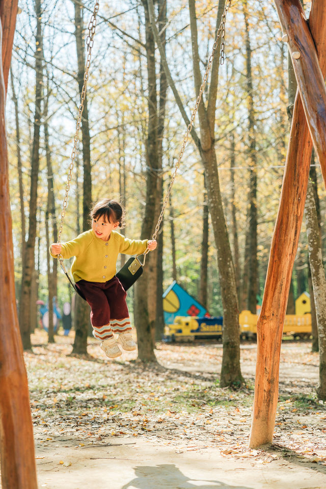 杭州出發1h,銀杏林農場是秋冬遛娃天花板 杭州出發1h,銀杏林農場是秋冬遛娃天花板