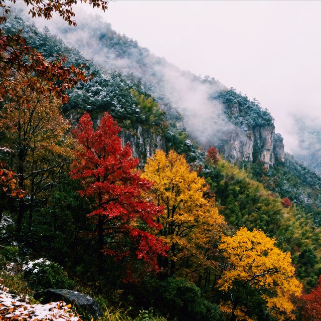 霧鎖江南·徒步雪竇嶺的水墨秘境｜初冬徒步天花板！