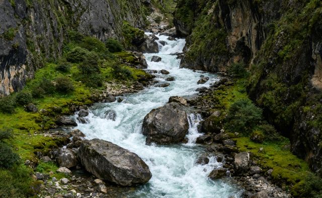 野性尼農穿越記