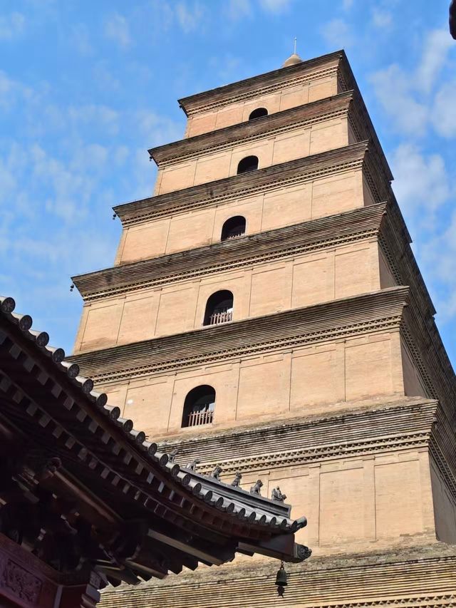 西安必打卡大雁塔這麼玩才不虧！