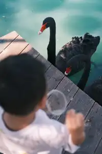 萬寧半日遊 | 打卡超適合小寶寶的牧場