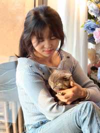 平潭這家海景民宿也太治癒了！面朝大海撸貓太幸福