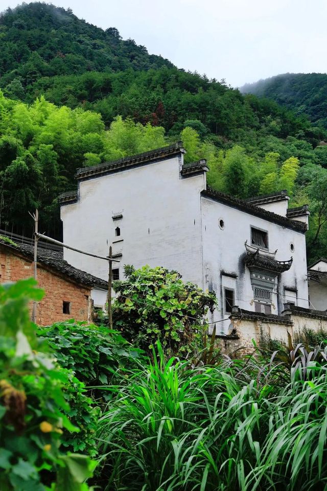 歙縣霞坑鎮察坑村：藏在皖南山水間的千年詩意