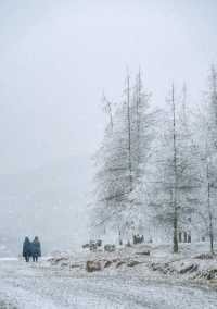 這簡直就是 滑雪愛好者的福音!!!