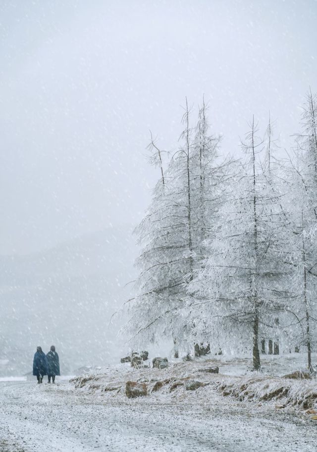 這簡直就是 滑雪愛好者的福音!!! 這簡直就是 滑雪愛好者的福音!!!