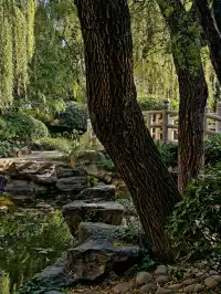 絕絕子!西安免費唐風公園封神啦