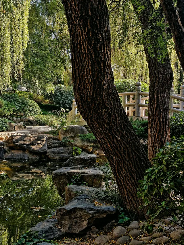 絕絕子!西安免費唐風公園封神啦 絕絕子!西安免費唐風公園封神啦