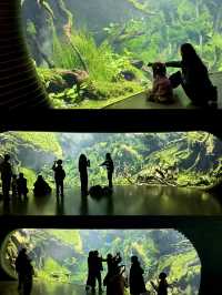 Shanghai’s Ultimate Urban Jungle Adventure🎉: Parent-Child Weekend Guide 🌿🤩