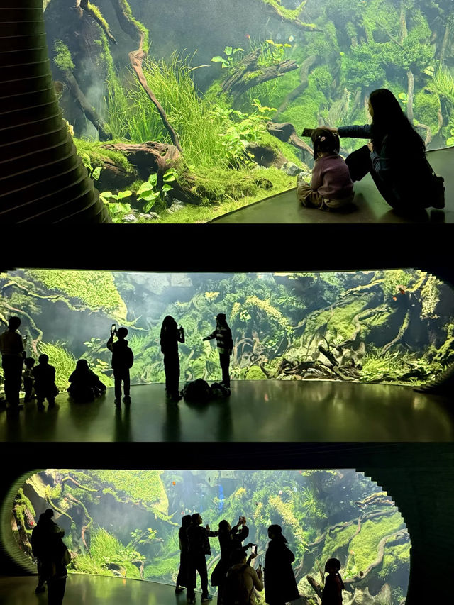 Shanghai’s Ultimate Urban Jungle Adventure🎉: Parent-Child Weekend Guide 🌿🤩 Shanghai’s Ultimate Urban Jungle Adventure🎉: Parent-Child Weekend Guide 🌿🤩