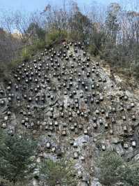 神農架 / 蜜蜂園