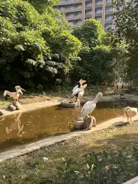 湖州龍之夢遛娃記|把假期過成沉浸式童話