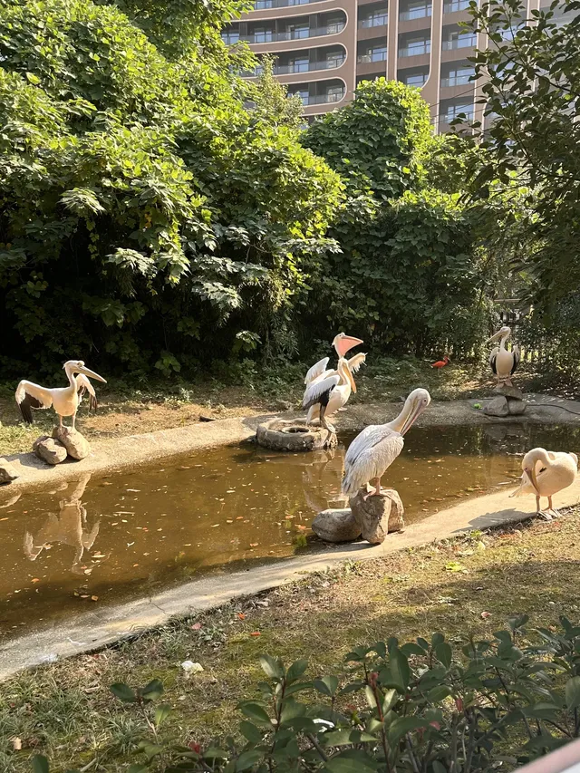 湖州龍之夢遛娃記|把假期過成沉浸式童話 湖州龍之夢遛娃記|把假期過成沉浸式童話