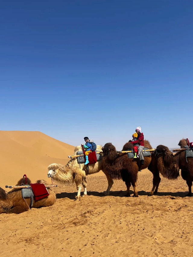 冬天帶娃來寧夏的都是勇士 冬天帶娃來寧夏的都是勇士