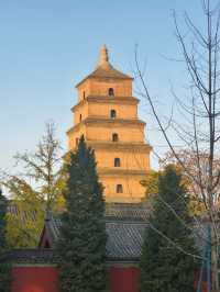 深秋初冬的西安大雁塔半日遊也太愜意了吧！